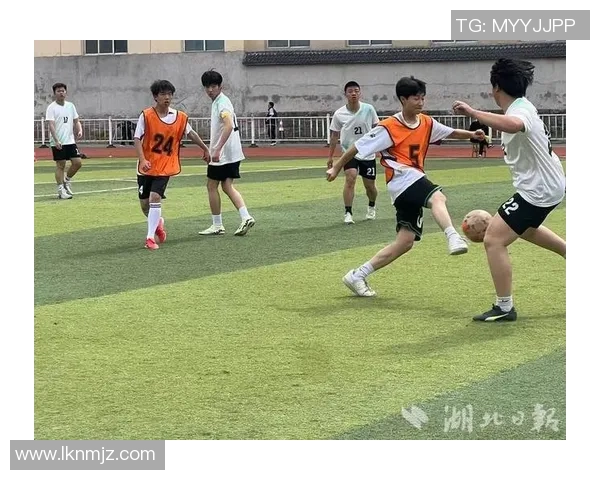 恩施足球明星盘点及其在国内外赛场的精彩表现与成就分析